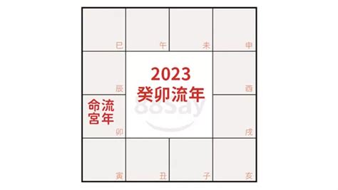 2023流年四化|紫微斗數2023癸卯年運勢